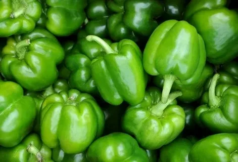 تصویر 3 از قیمت خرید فلفل دلمه‌ ای سبز با فروش عمده